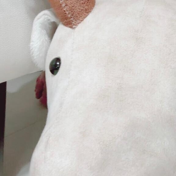 久しぶりヽ(*'▽'*)ﾉ