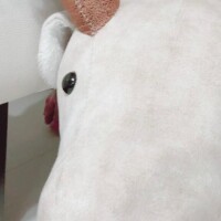りっか