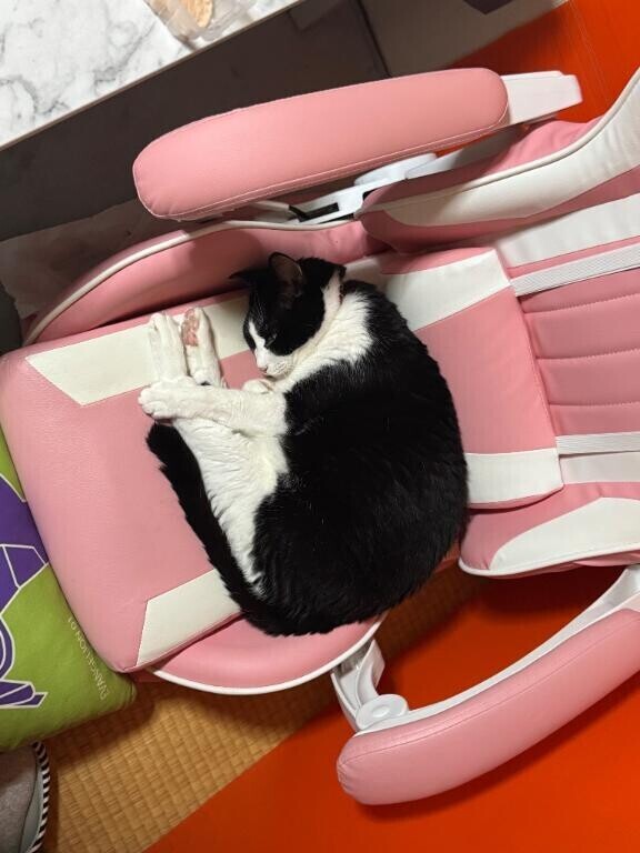 予約ありがとう‪⸜‪‪‪‪‪︎👍‪‪︎⸝‬‬‬‬‬‬‬‬