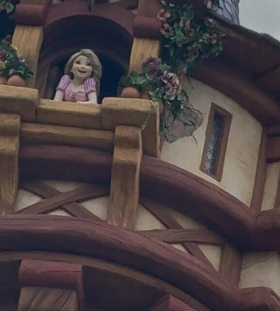 今日は夢の国へ…🐭✨