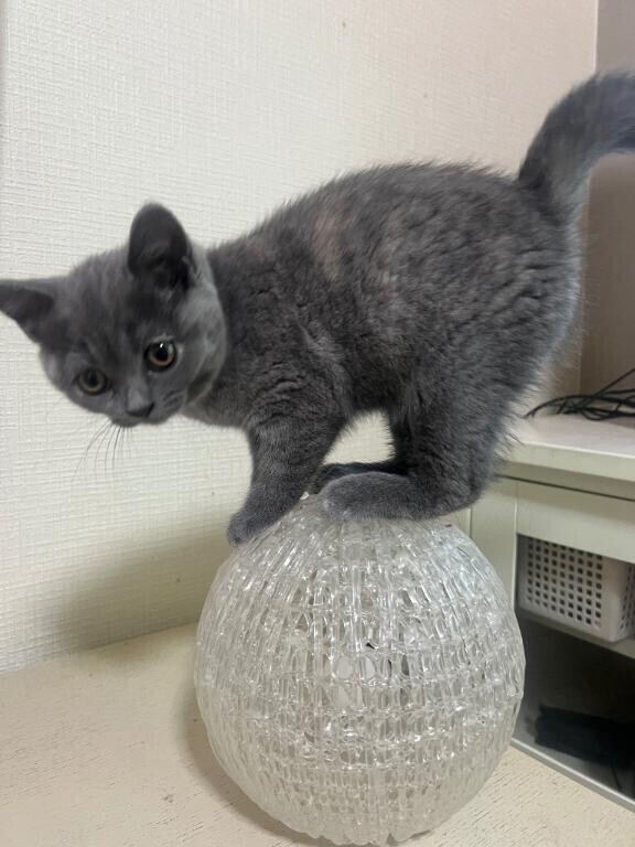 今から向かいます🚗