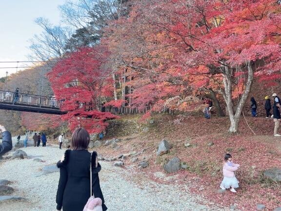 きれいでしょ？💓