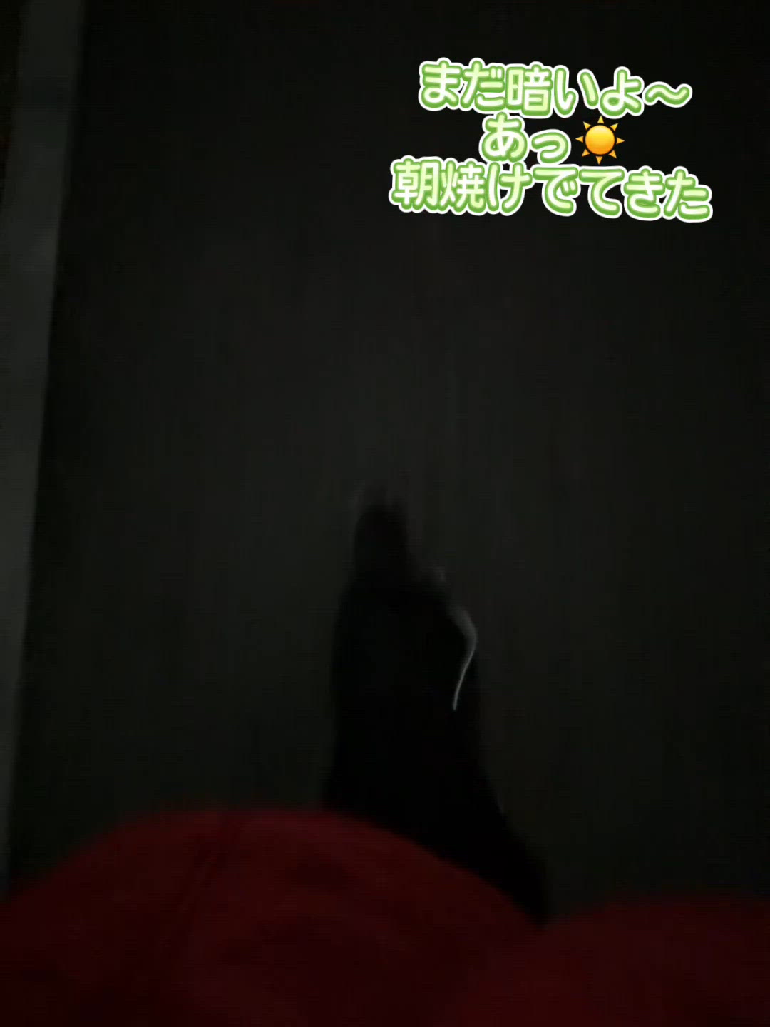 くっつきました💓‪🐛