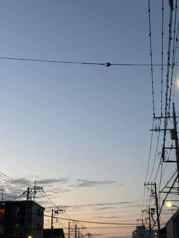 こんなに明るい🔅