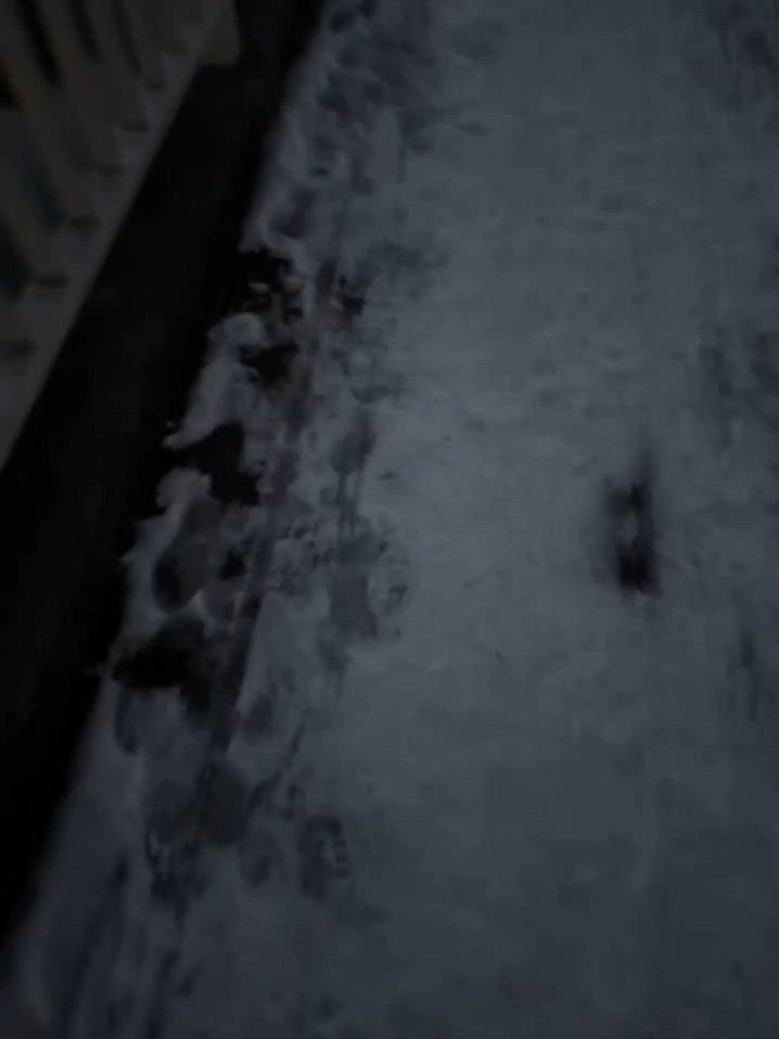 沢山食べるからめっちゃ動いておくっ🎶