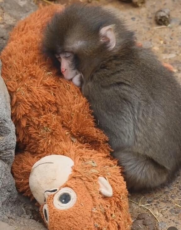 満たされる理由…