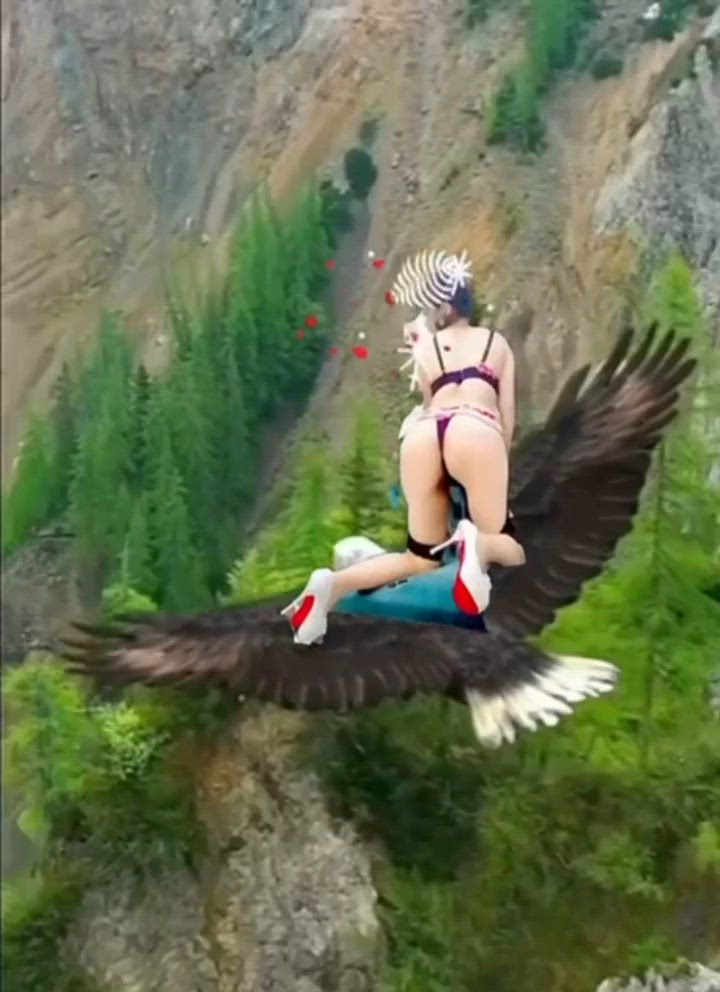 【音動画】あいまに〜🦅