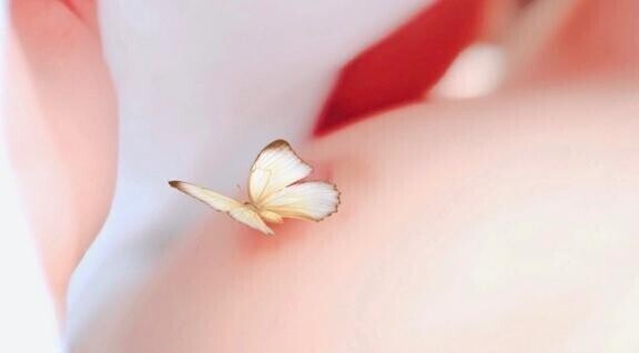 お胸ポロリも、添えさせて頂きまして– (〃ω〃)照