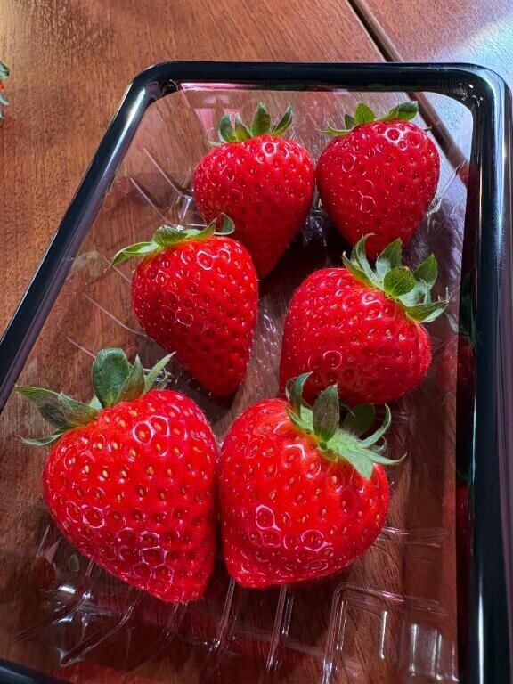 えっ…なにこれ！？🍓