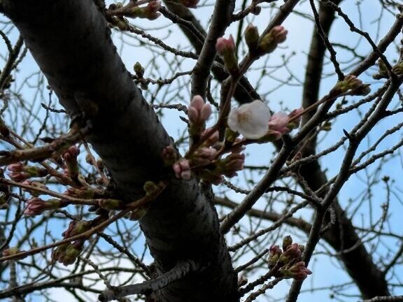 発見︎💕︎︎💕︎