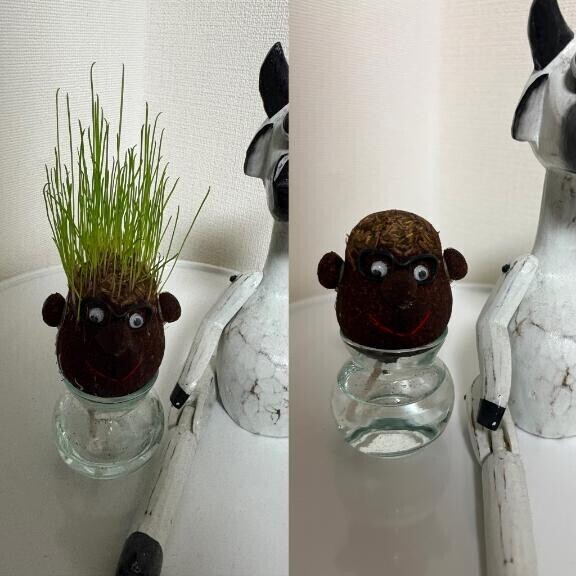 見守ってほしい子です😌