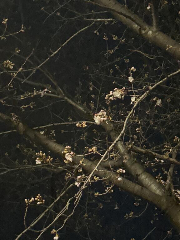 スケジュール変更させて下さい🙇‍♀️