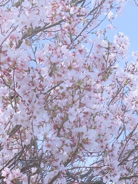 ポカポカ☺️🔆