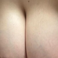 しほ