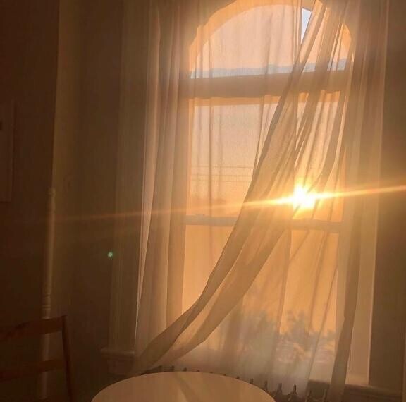 初日🎀