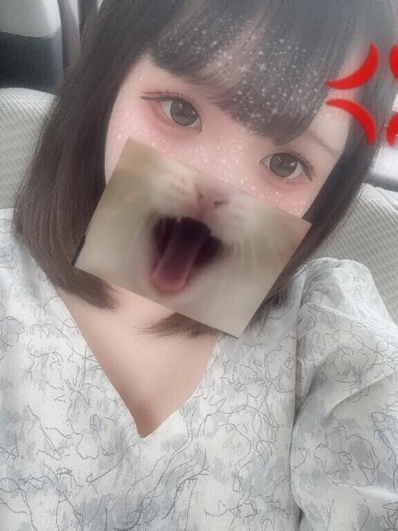 戻ってるよ〜！！