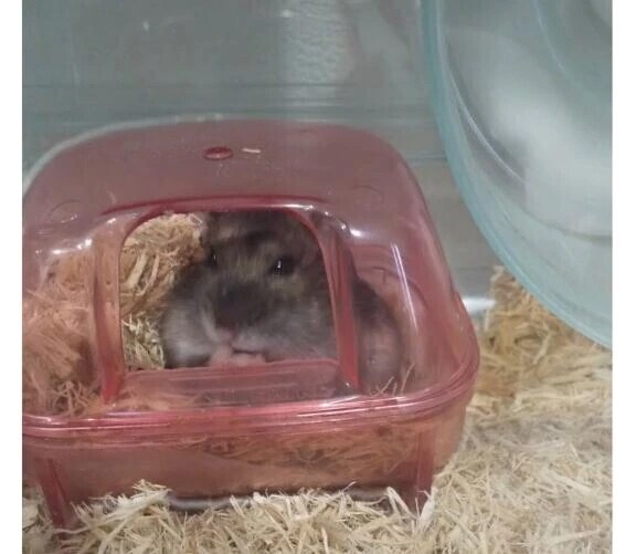 ごめんね😢