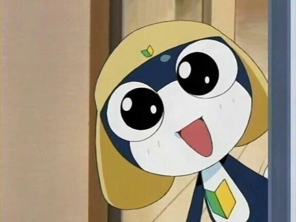 今週お休みの予定です😿