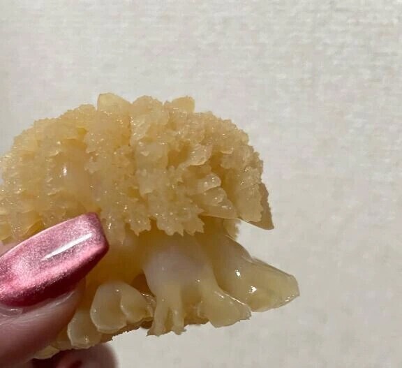 明日だよー‼️