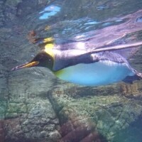 えみな