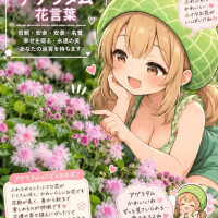 まお