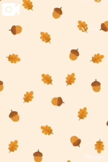 🌰＆🐿️