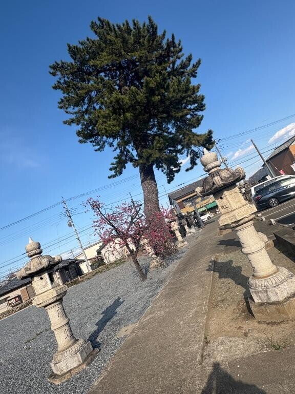 🧡ごめんなさい