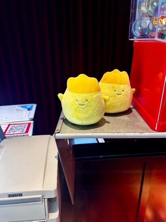 「〇〇〇〇作戦、大失敗！？笑」