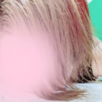 かずみ
