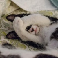 みどり