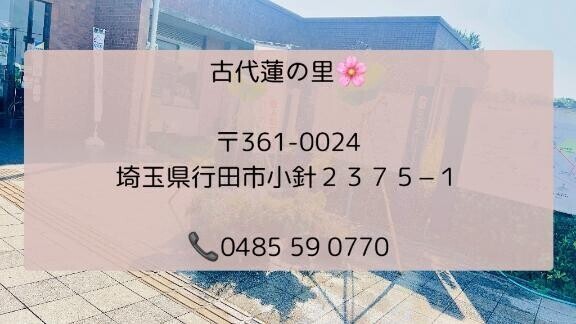 大迫力で登場📷✨💕🌾
