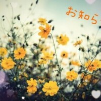 さら