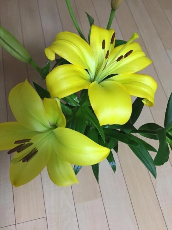 おはようございます(⁠^⁠^⁠)