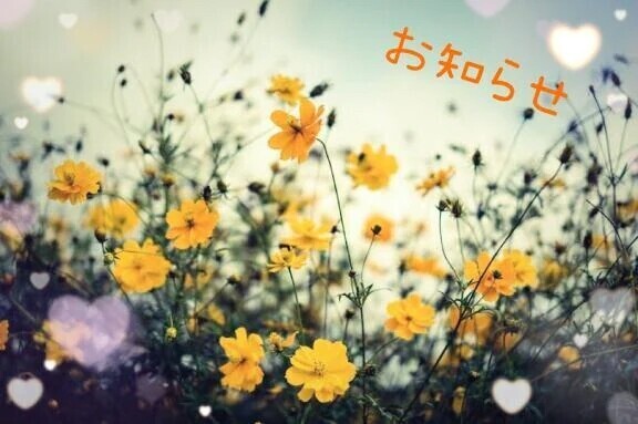 お知らせ⋆͛📢⋆