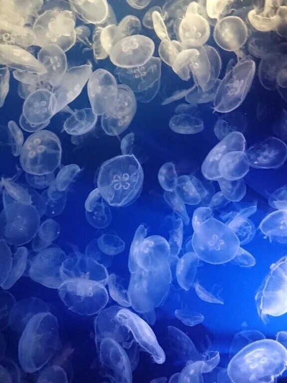 次回出勤🌿.∘