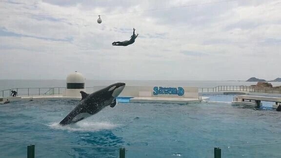 どんな私がいいかな？💓‪