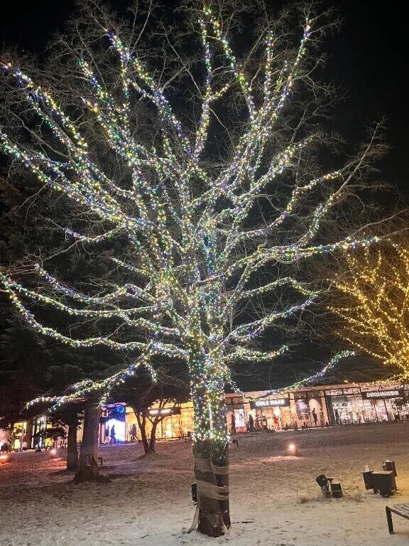 お久しぶりです✨