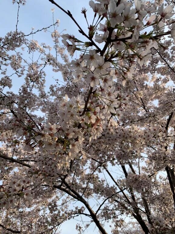 遊んでくれる方🌿.∘