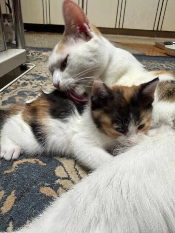 お仕事おつかれさま💭このあとどうする？