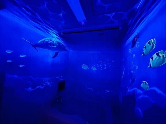 🐟🐠🐡 .*･ﾟ✨