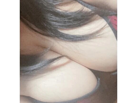 今日のお知らせー！