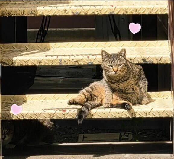 新入りちゃん👀💗