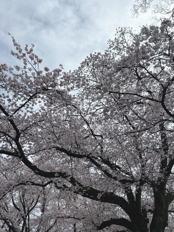 生憎のお天気☔️だけど……
