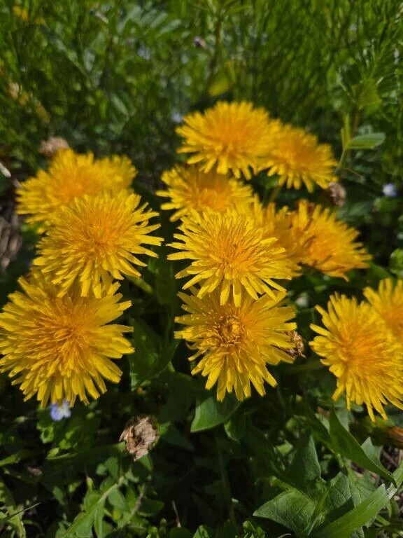 お疲れ様です😊