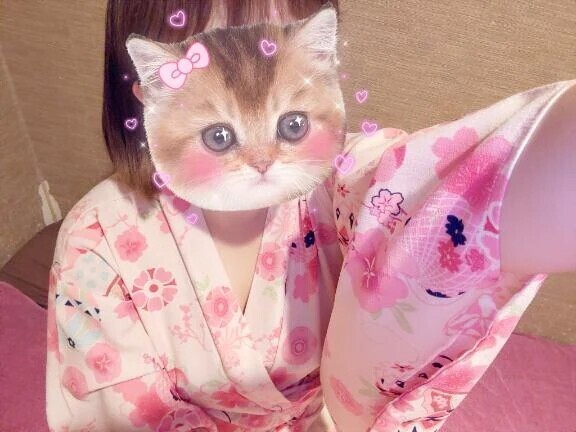 ‎🤍⌇自己紹介