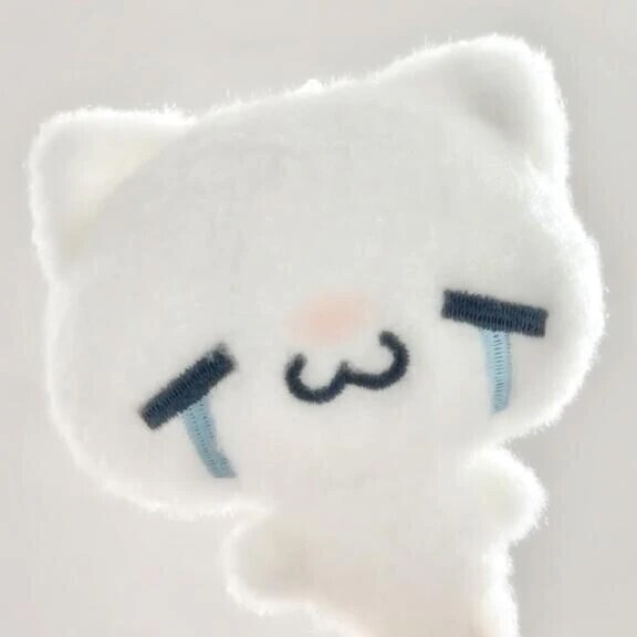 ‎🤍⌇お知らせ⋆͛📢⋆