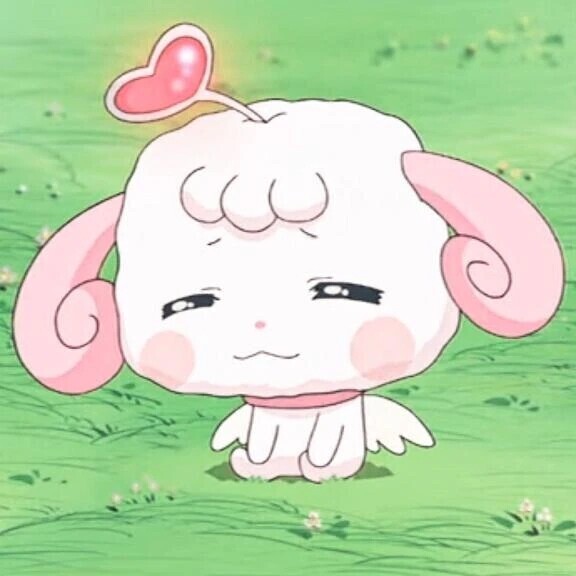 ごめんなさい( т т )