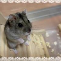 おはようございます