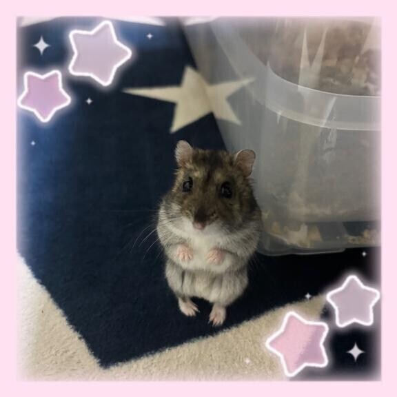 父の日?