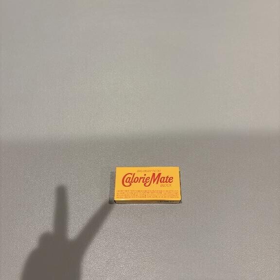 ありがとうございました